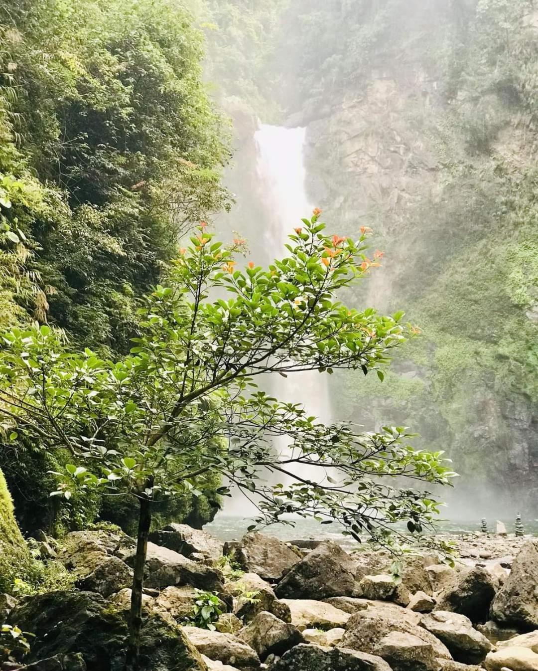 Batad Pension And Restaurant Banaue Zewnętrze zdjęcie