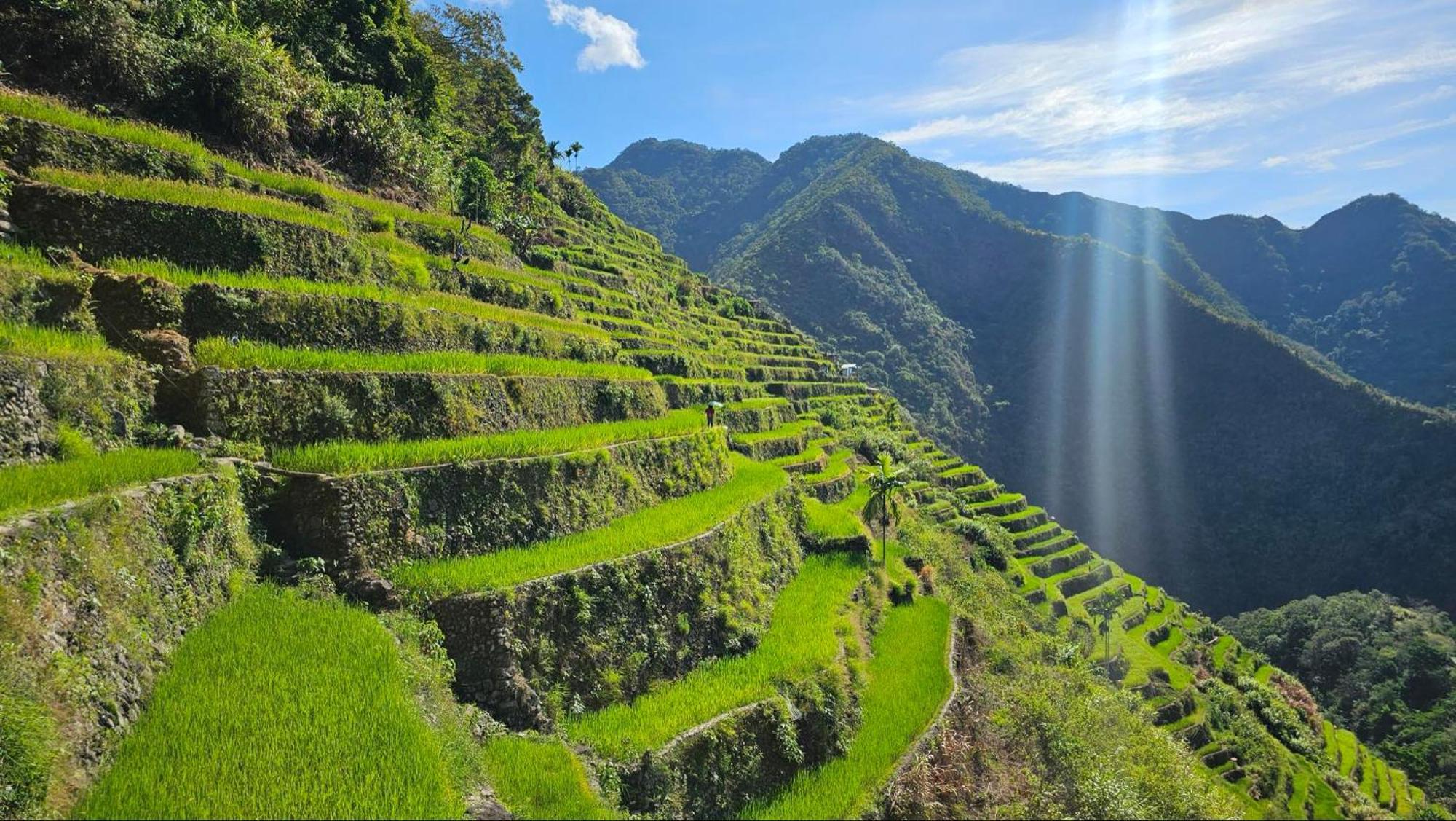 Batad Pension And Restaurant Banaue Zewnętrze zdjęcie