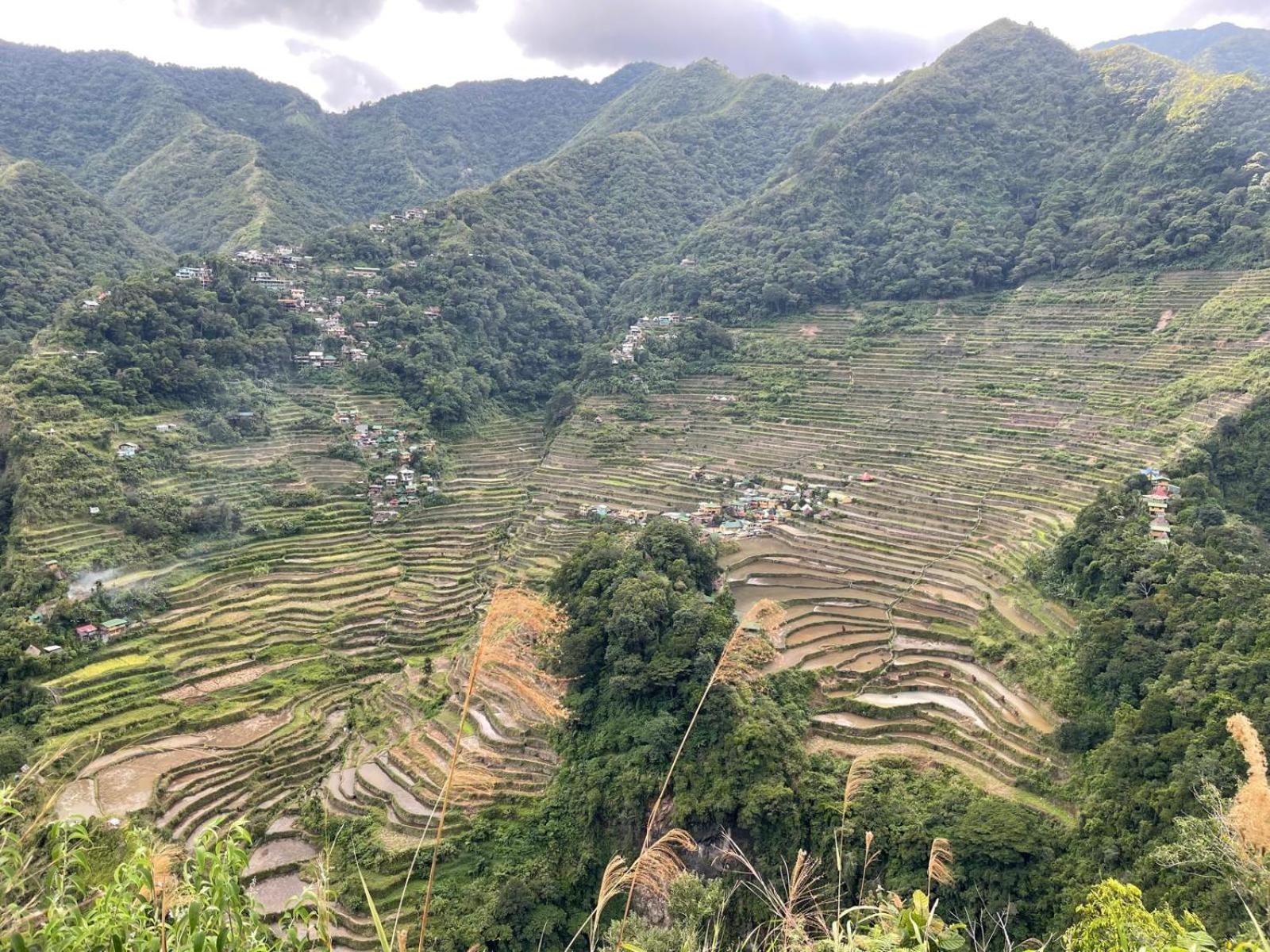 Batad Pension And Restaurant Banaue Zewnętrze zdjęcie