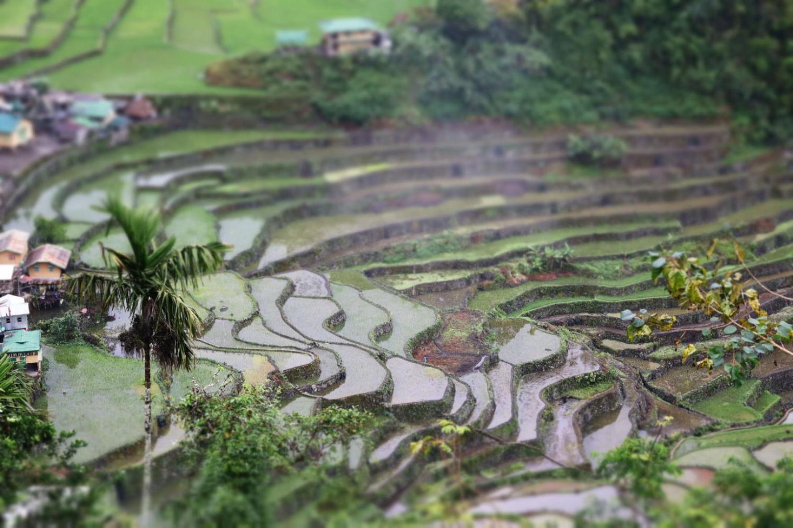 Batad Pension And Restaurant Banaue Zewnętrze zdjęcie