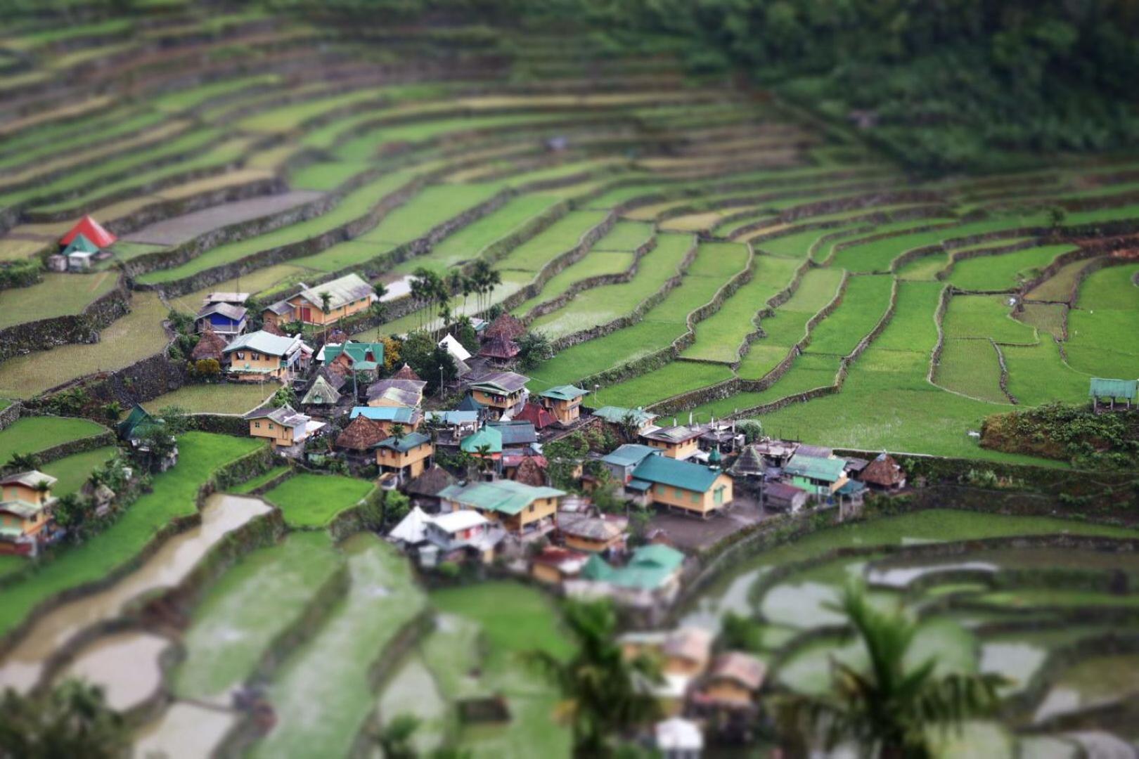 Batad Pension And Restaurant Banaue Zewnętrze zdjęcie